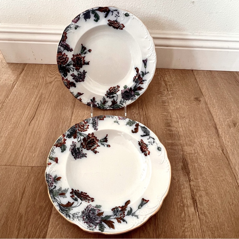 2 Antique‎ Ridgways Royal Semi Porcelain England Floral Dinner Plates, Flow Blue